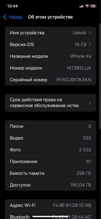 iPhone XR в корпусе 17 pro