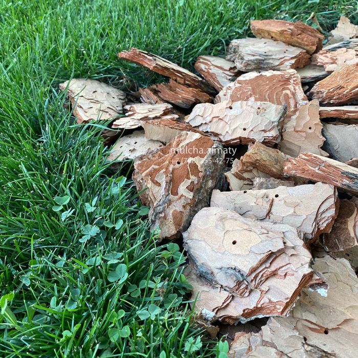Мульча березовая кора