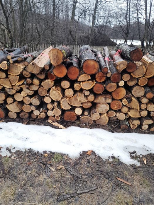 Vand lemne de foc si de lucru - fag, stejar, pin si bile de brad