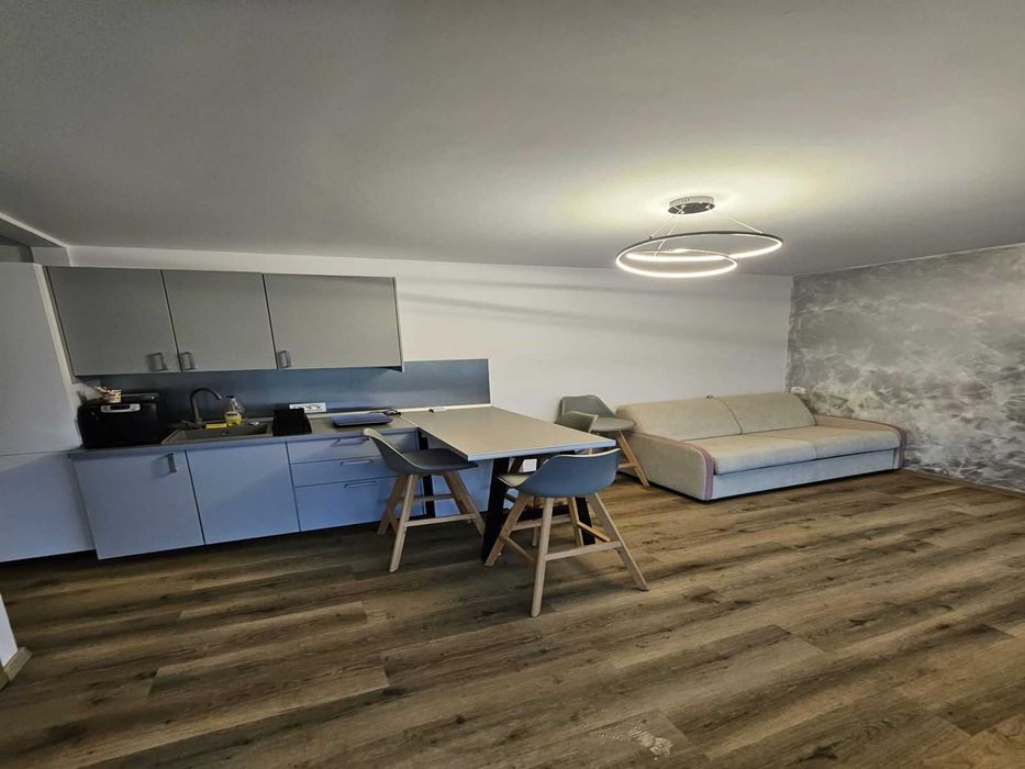 Chalet 2–4 pers. Bușteni – grătar, curte privată, vedere Bucegi