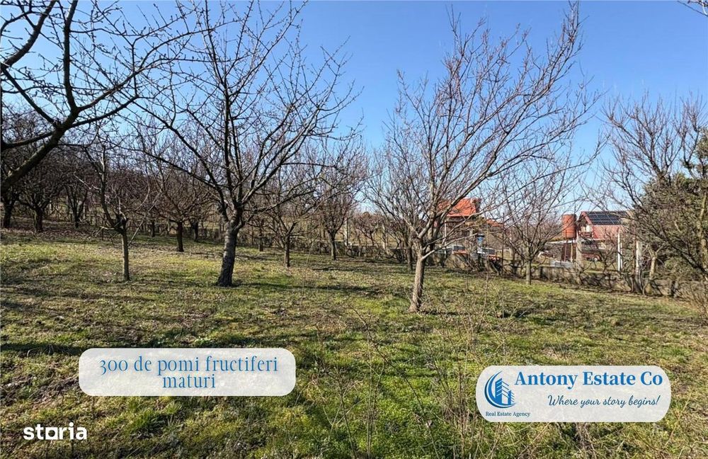 Casa cu Livada – proprietate deosebita cu livada si curte mare