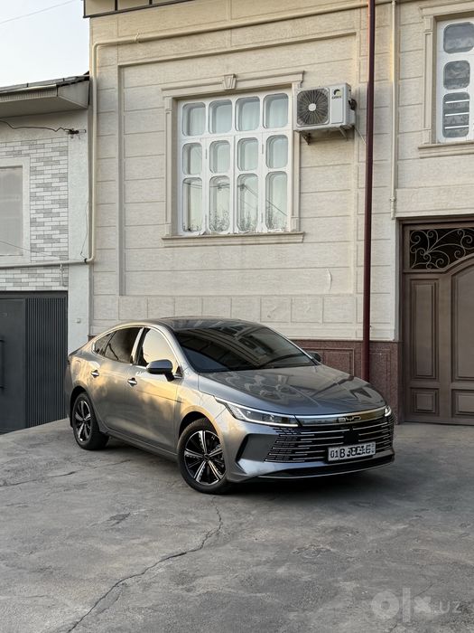 Byd chazor dm-i 120 tali 2024