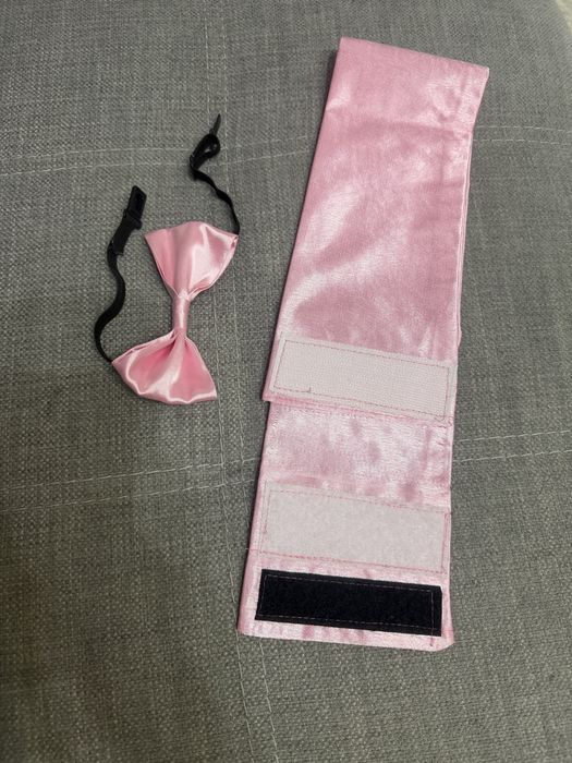 Бабочка и пояс