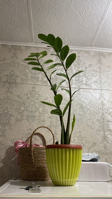 Корпеше орындыкка арналган