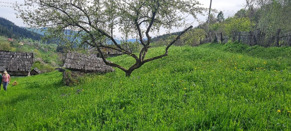Vând 2 parcele teren Potoci și Neagra Sarului