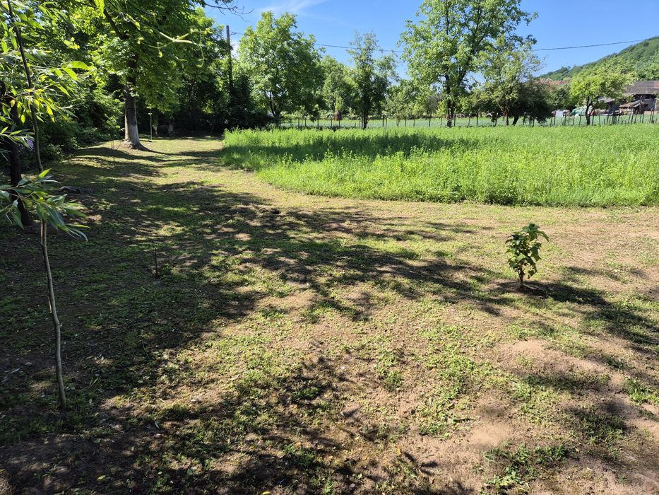 Vind 2 case pe același cefe