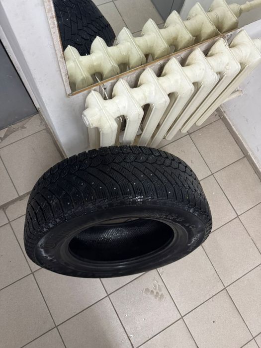Зимние шины шипованные