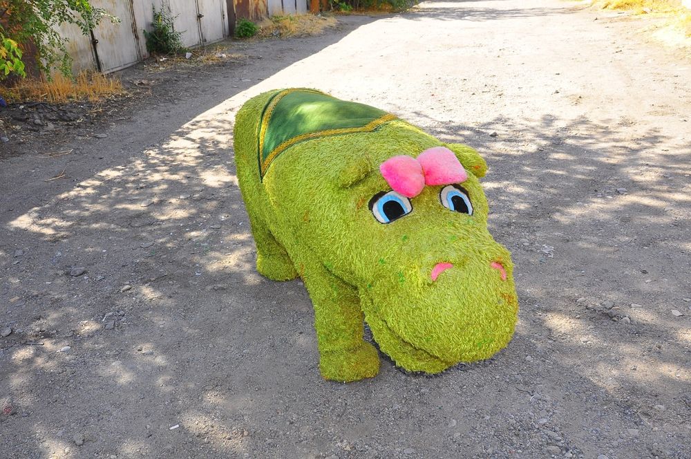 Игрушки для фотографов