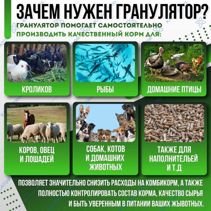 KAZGRANULATOR.Грануляторы для производства комбикорна