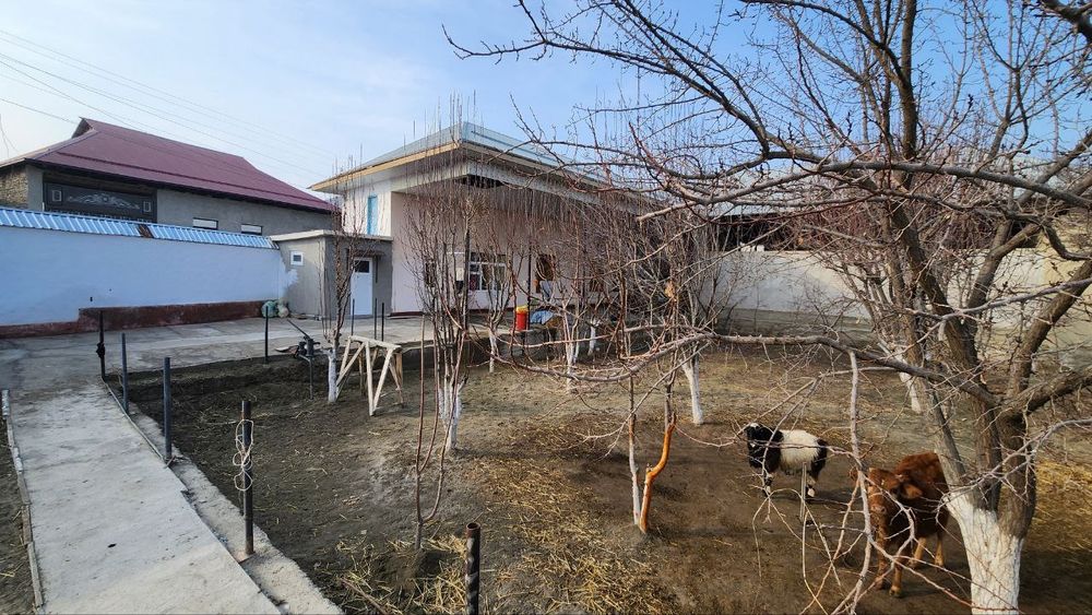 Ховли сотилади Эски шахар Мохинур туйхонани орка кучасидантуйхонани ор