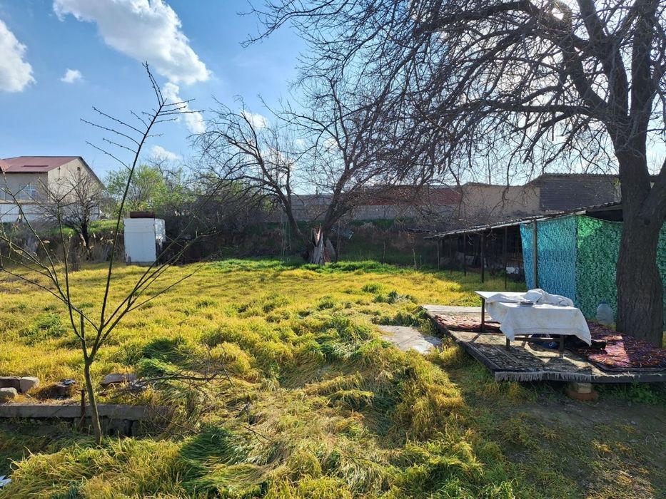 Ortasaroy xam dacha xam ferma sotiladi