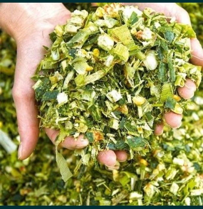 Силос.    ( silos )