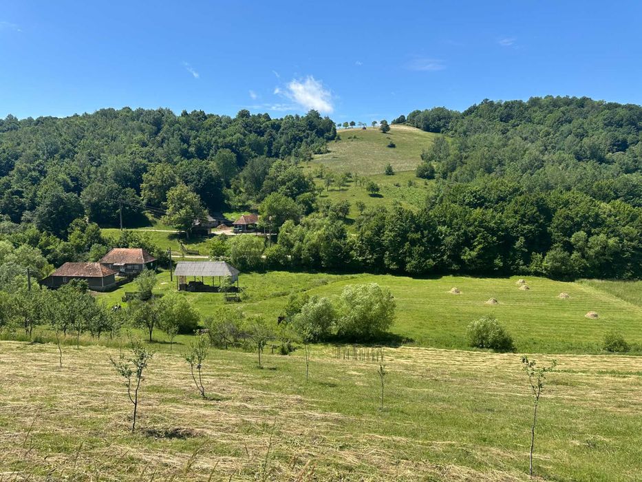 Teren intravilan de vanzare comuna Astileu sat Calatea 1.183 mp