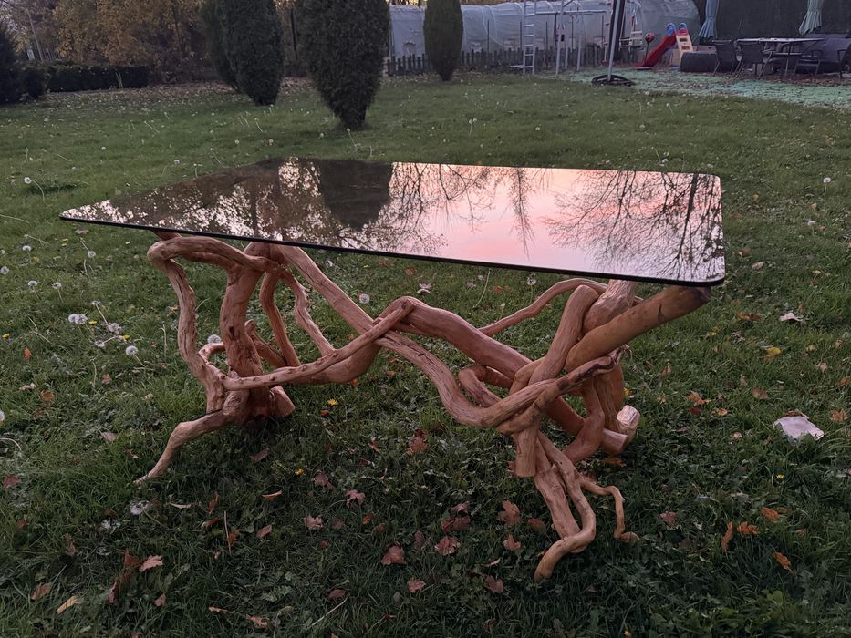 Маса корени на дъб уникат