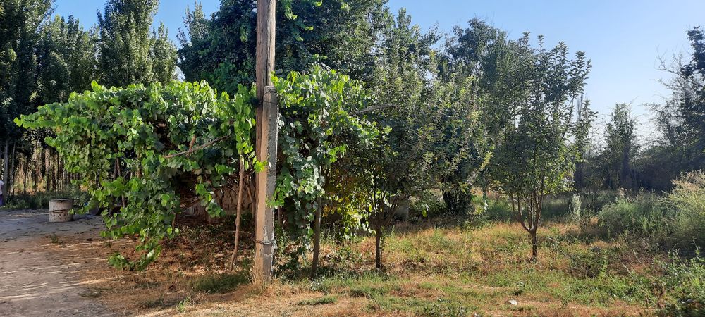 Уй сотилади зудлик билан