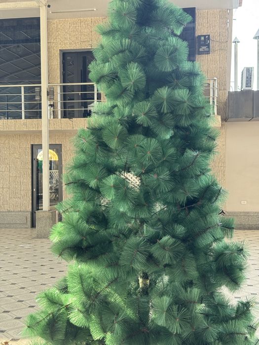 Archa/Ёлка 3metr