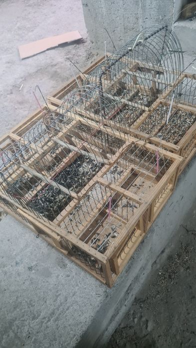 Клетка ловушка для птиц щеглов и других птиц