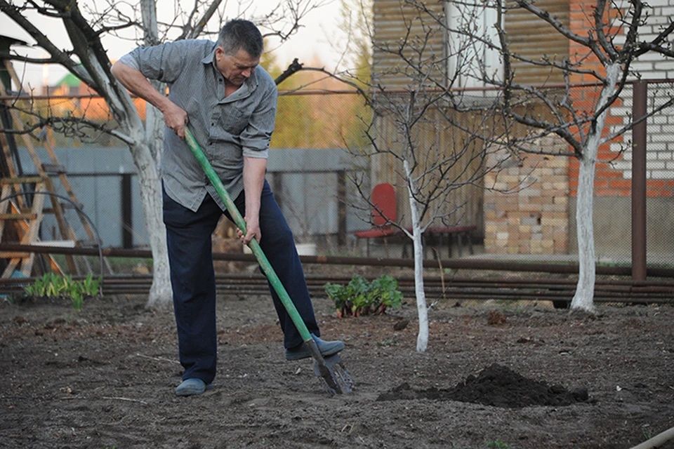 Садовые работы рулонные газоны и посев