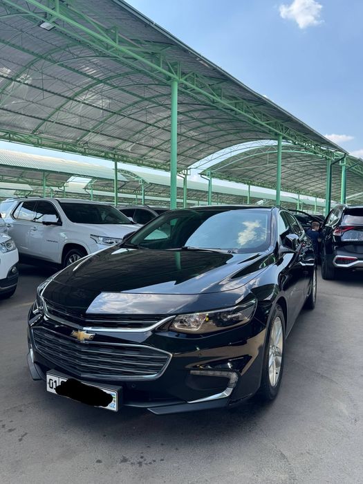 Malibu 2 2.4 atlasfermiy