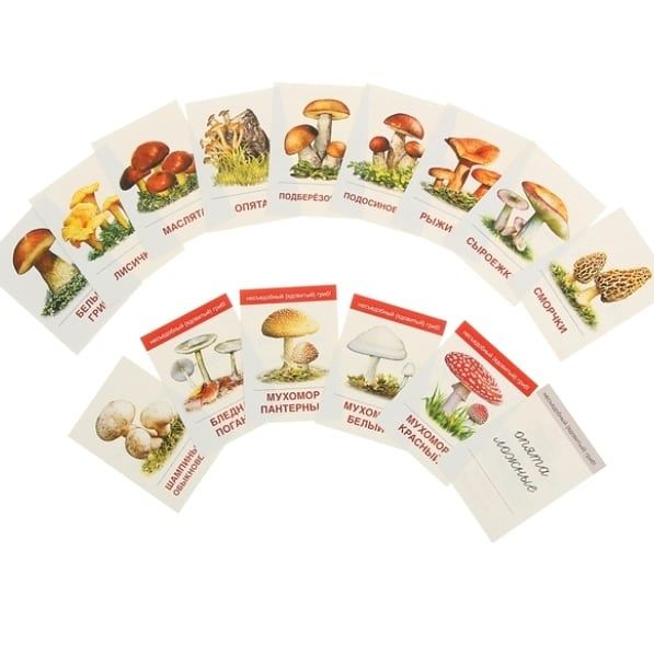 Карточки для малышей