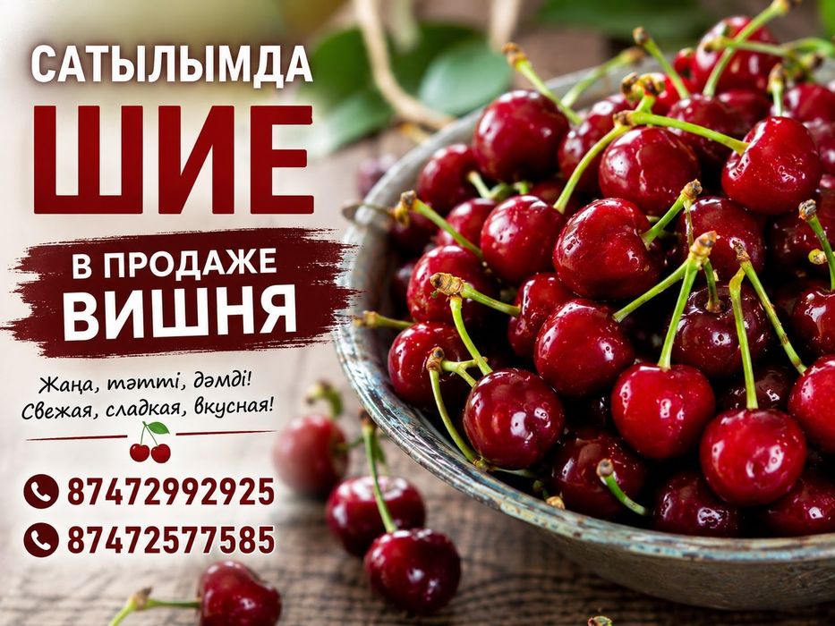 Шие сатам Продам  Вишнью