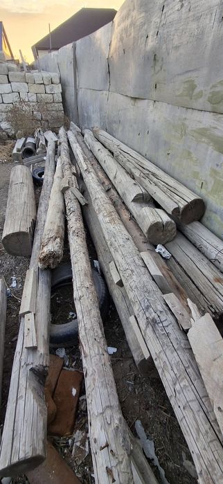 Кругляк тастама ..