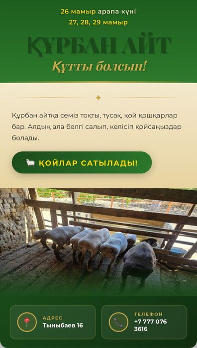 Қойлар Семіз Айтқа