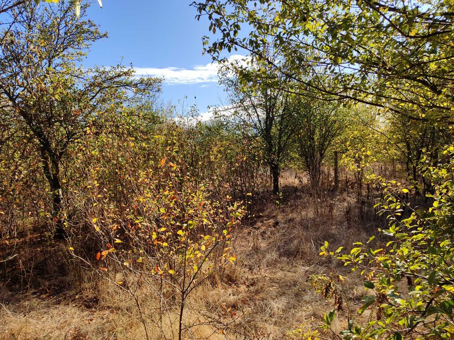 Реновирана къща с голяма квадратура