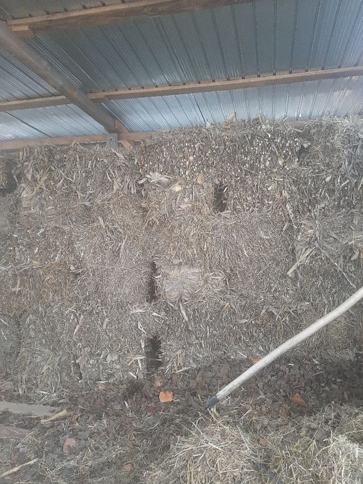 Vand baloti porumbiste si fan