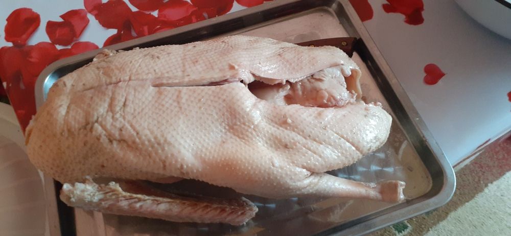 Гусинный жир  (қаздың майы)