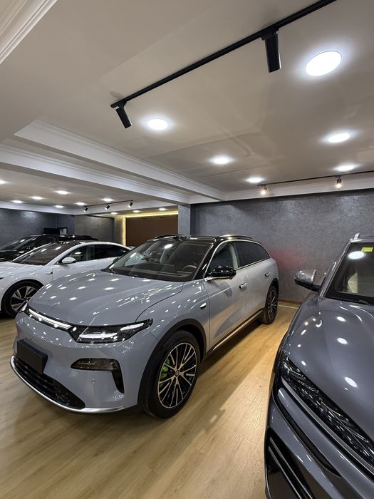 Leapmotor c11 performance 2026