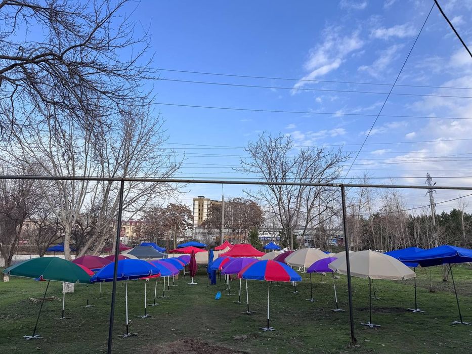 Naves zontikla  zavoddan tògʻri chiqariladi optom va donaga