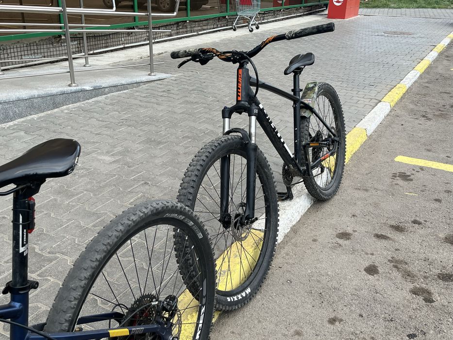 Giant talon 3.  .