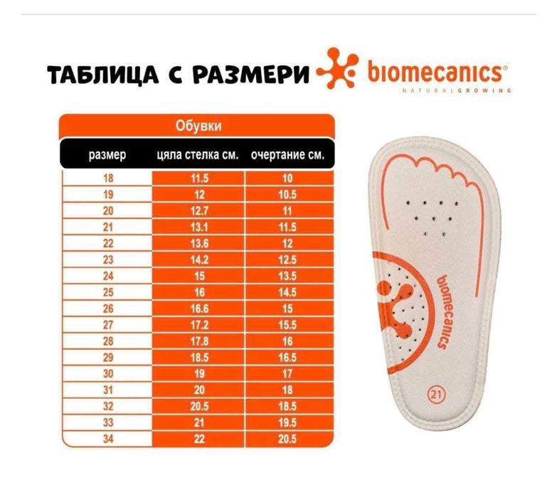 Biomechanics 19