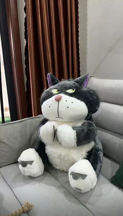 Продам большого кота