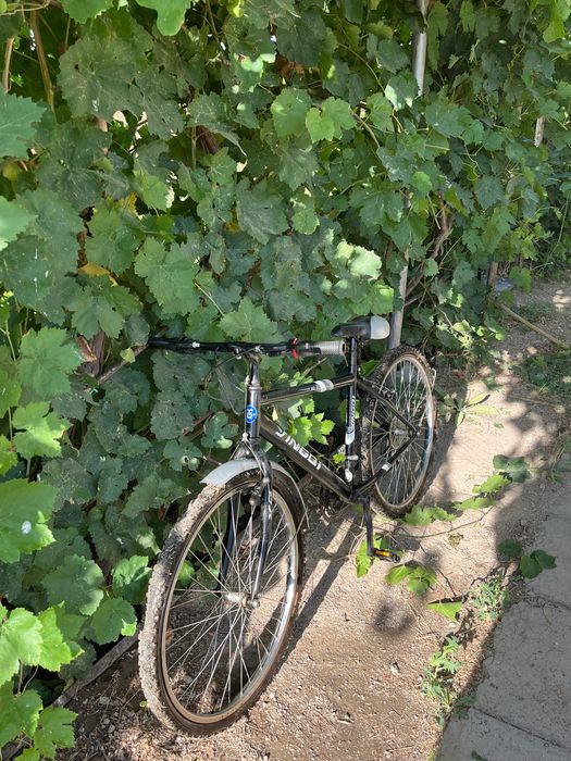 Спортивный велик