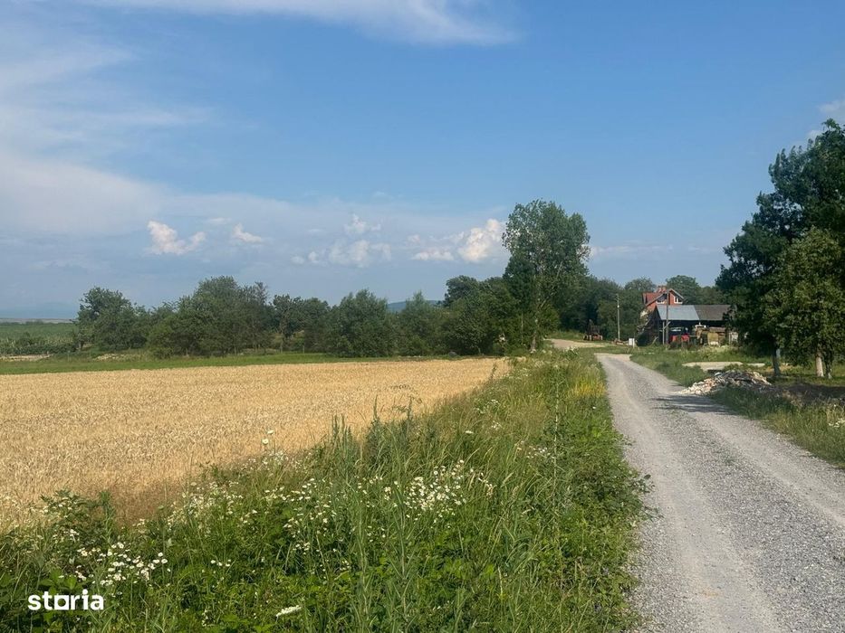 Teren intravilan de vanzare – Viile Satu Mare