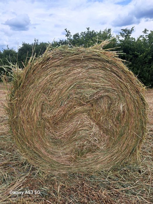 Vand baloți de fân 0751335068