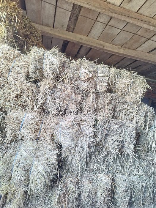 Baloți făcuți din FÂN