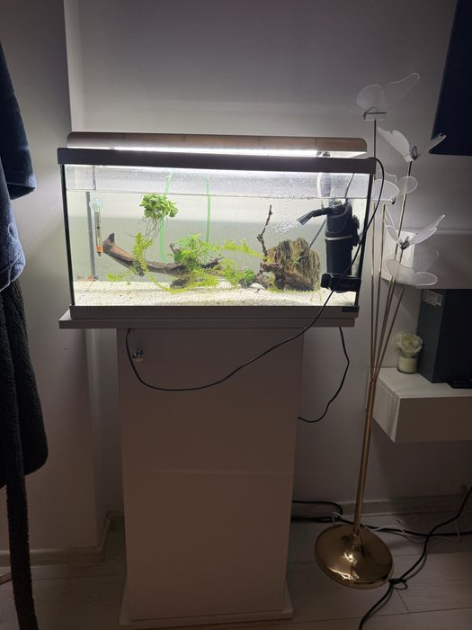 Vand acvariu pesti +dulap