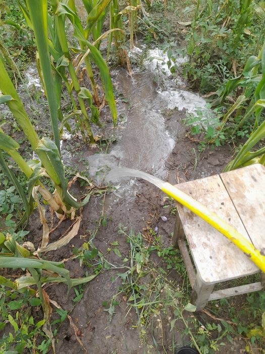 Foraje puțuri apă nr de tel:0761286298
