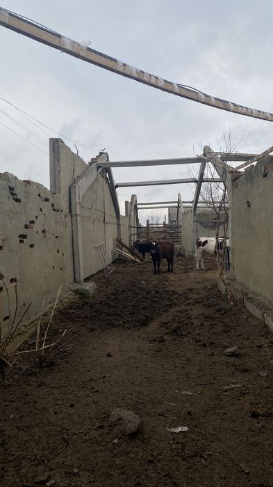 Продам Базу для откорм