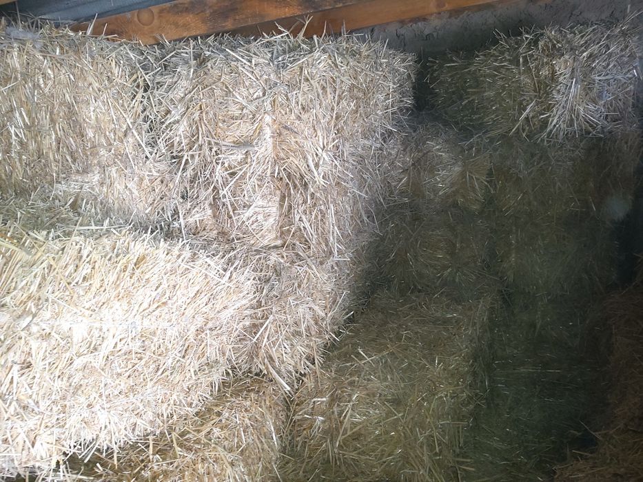 Продажа пресса пшеничной соломы