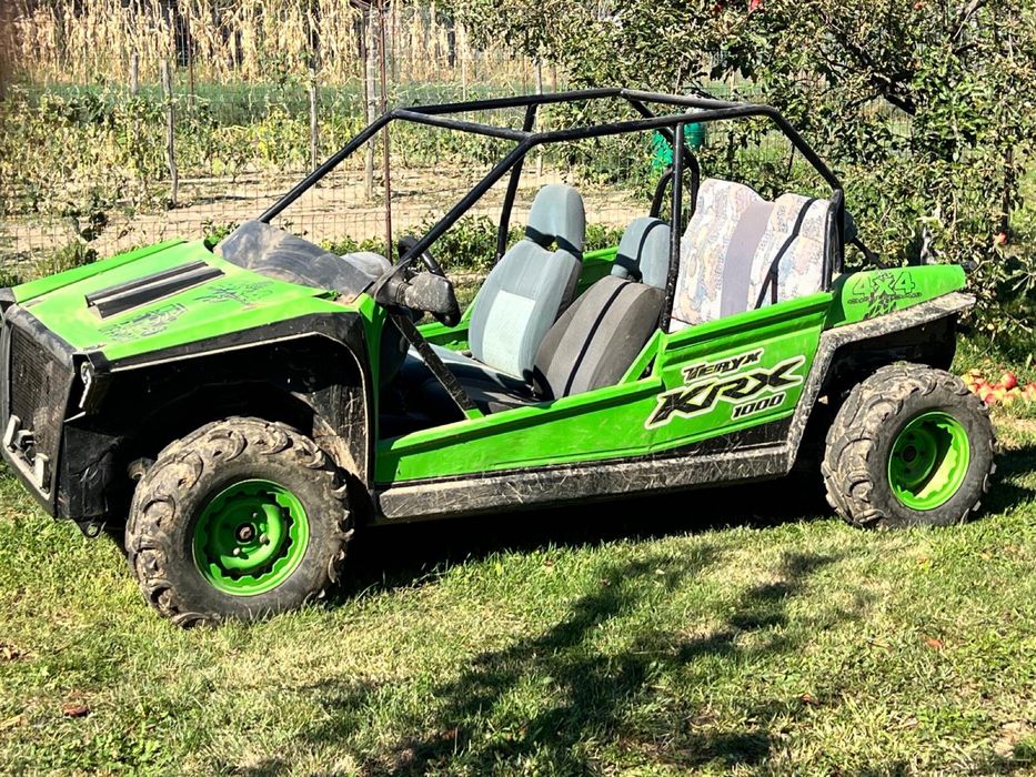 Buggy off road….