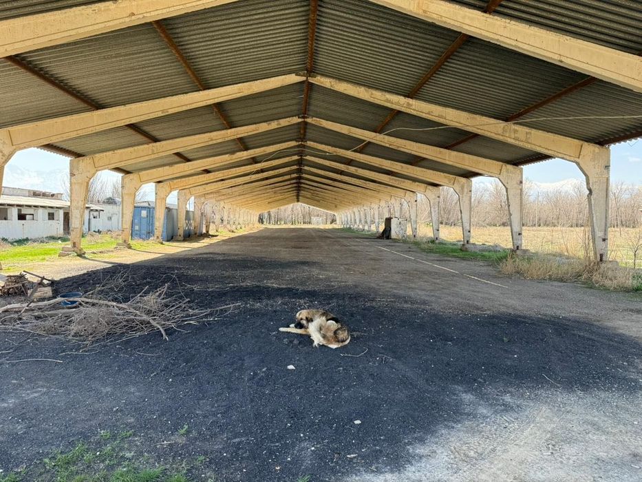 Продается кирпичный завод