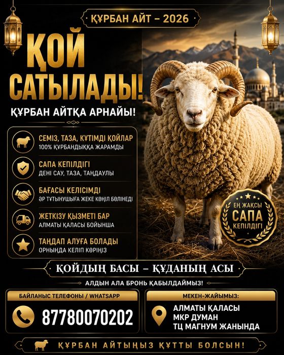 Құрбан айтқа қой сатылады мкр Думан ТЦ Магнум жанында орналасқан