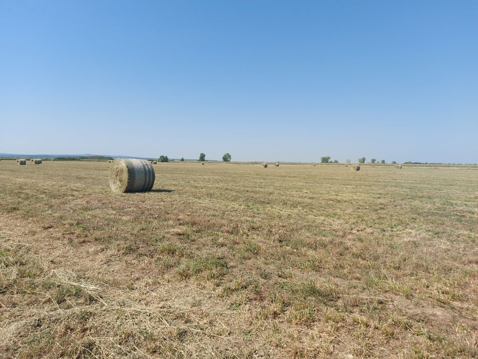 Lucerna coasa 2  , an 2026