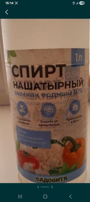 Продам укроп ...