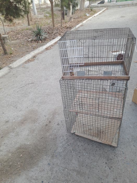 Клетка сотилади.