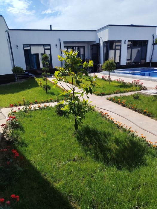 Oqtoshda dachaga odam qoyiladi